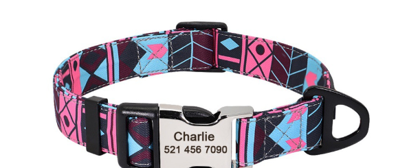 Personalized Nylon Dog Collar with Custom Nameplate Tag