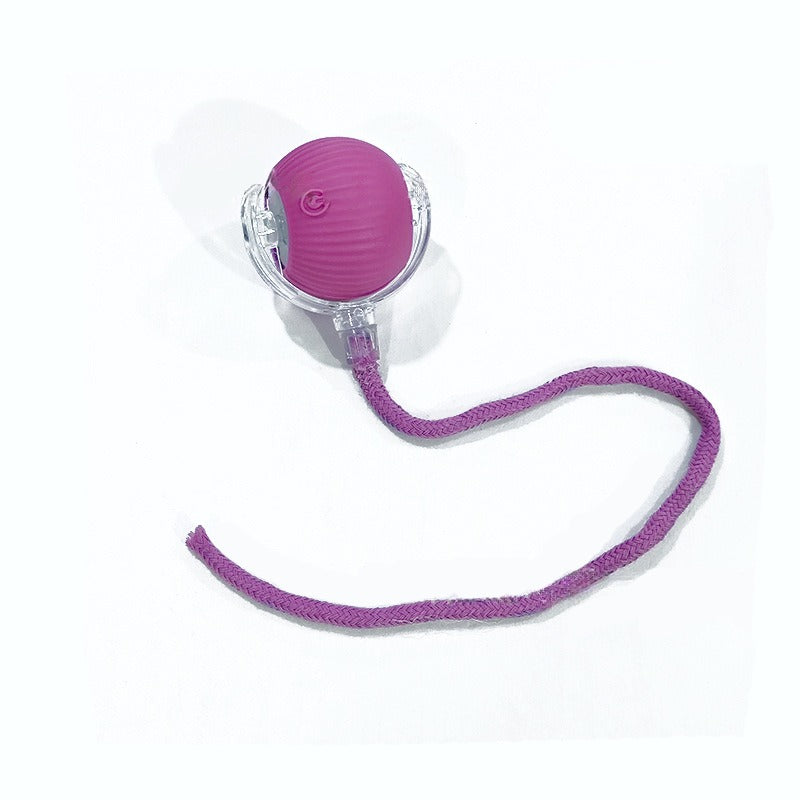 Rechargeable Smart Cat Ball Toy