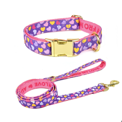 Double-Sided Pet Collar & Leash Set