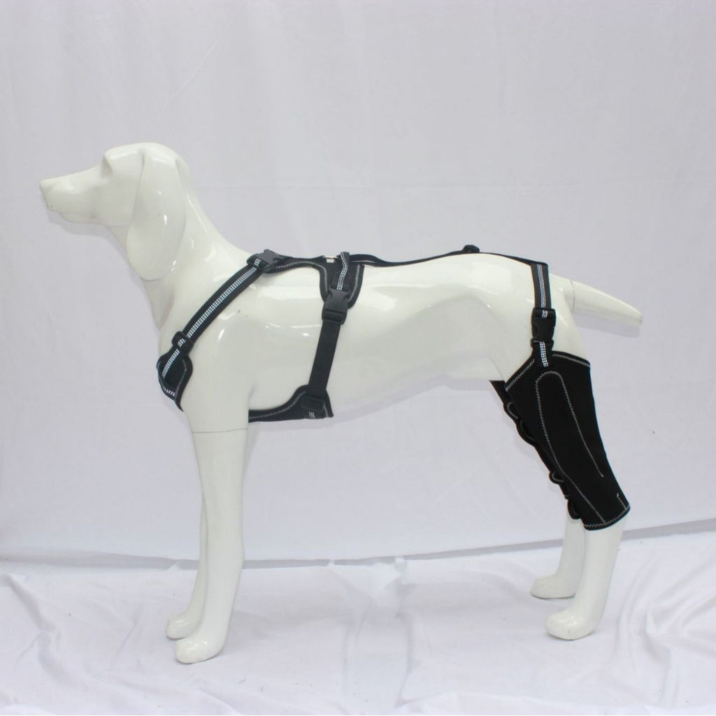 Dog Thigh Protective Sleeve with Metal Support