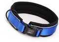 Reflective Dog Collar and Leash with Accessories