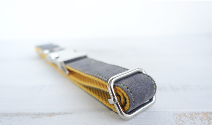 Leash and Collar Set for Dogs