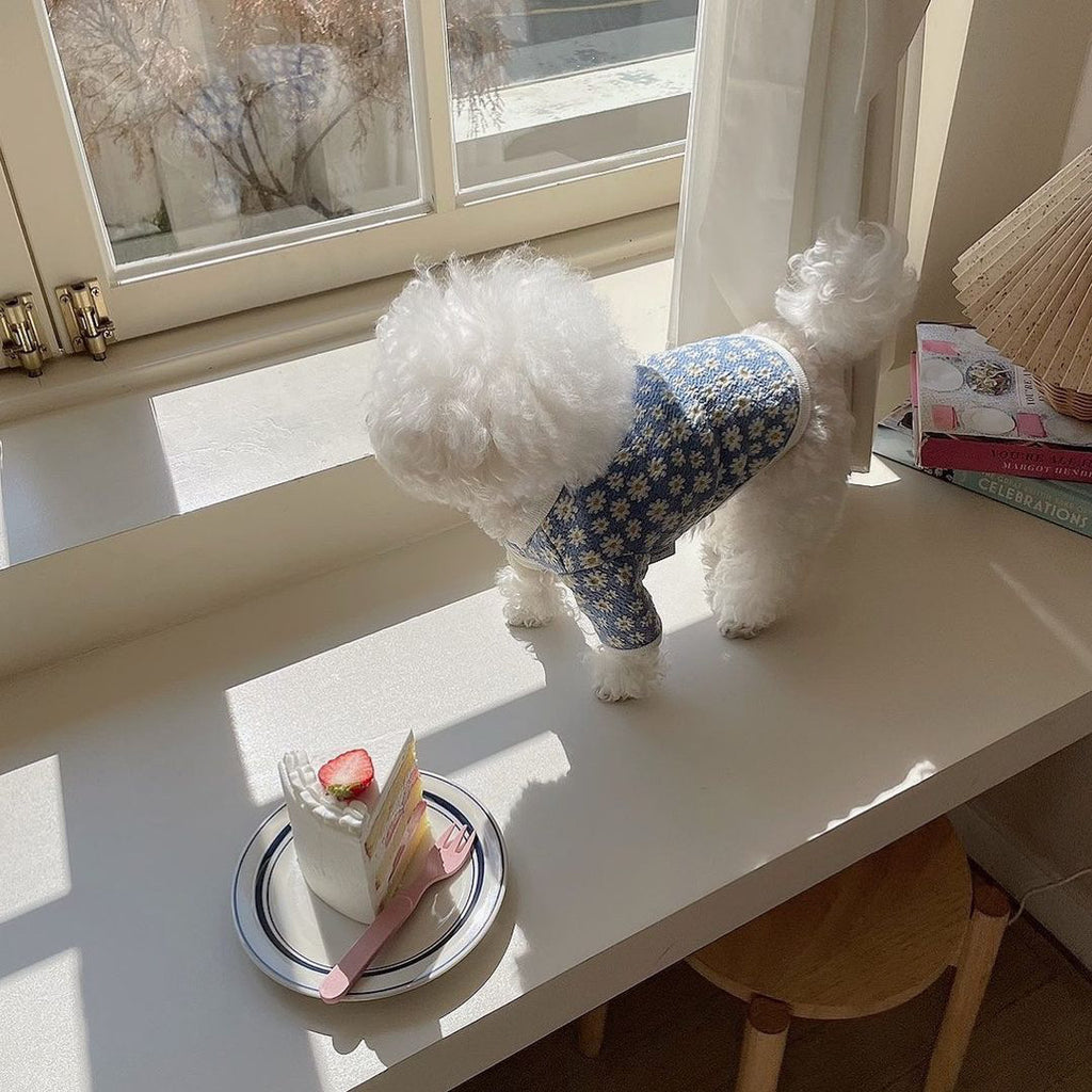 Cute and Simple Printed Clothes for Dogs