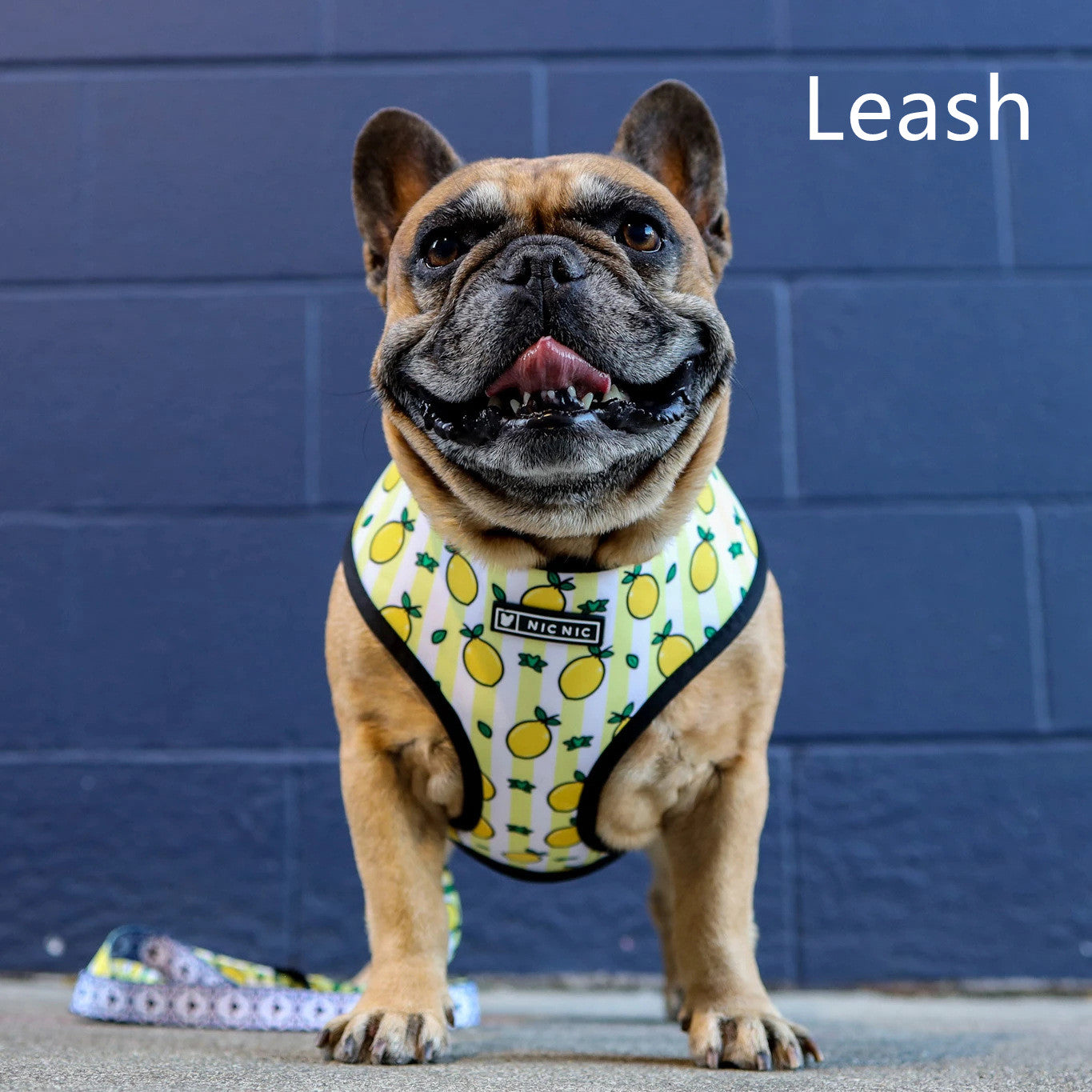 Breathable Mesh Lemon Pattern Pull Rope Bag