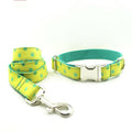 Labrador Dog Collar and Leash Set