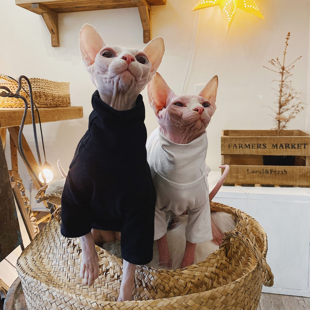 Sphynx Cotton Allergy-Free Spring Summer T-Shirt