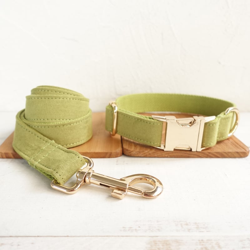Fruit Green Yellow-Green Polyester Dog Collar and Leash