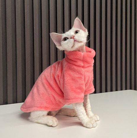 "Fashionable Clothing for Hairless Cats"