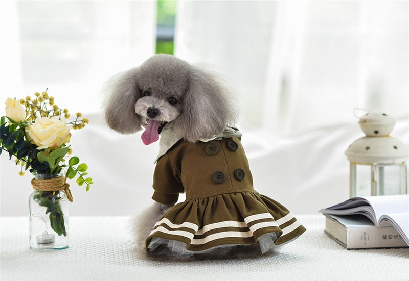 Autumn Winter Princess Dress for Pets