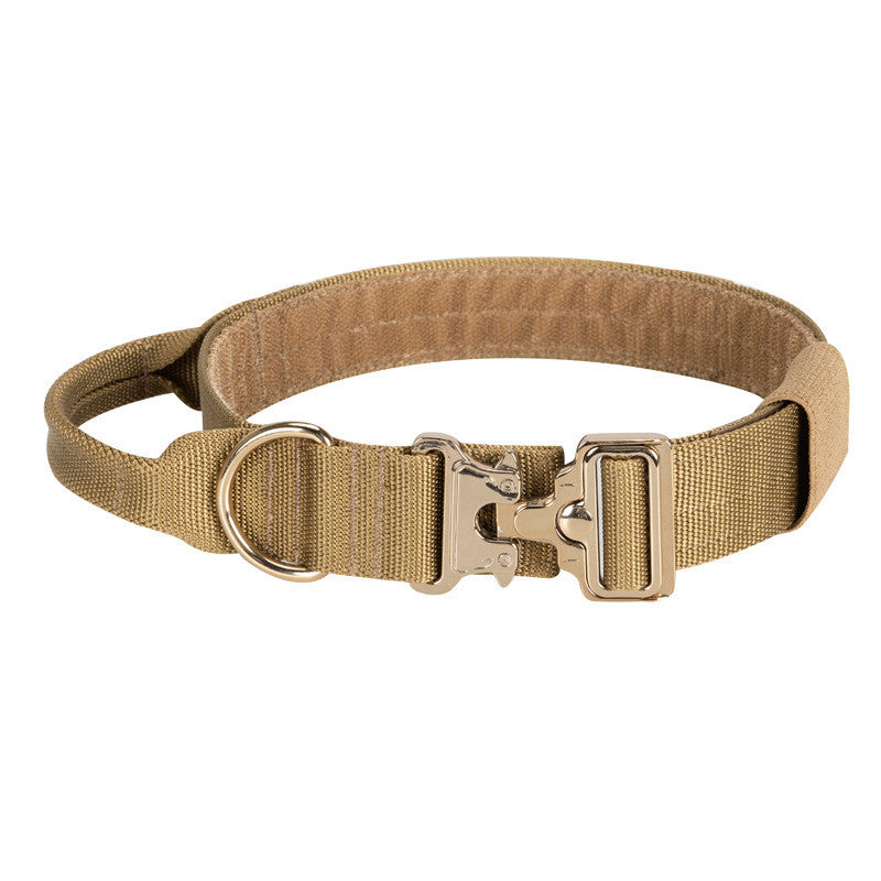 Large Dog Traction Rope and Collar for Walking