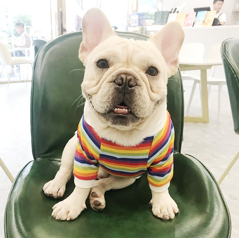 Trendy Stretch Cotton Dog Clothes for Pets