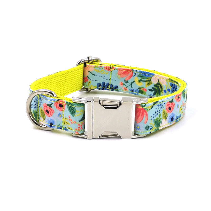 Letterable Collar for Small to Medium Dogs