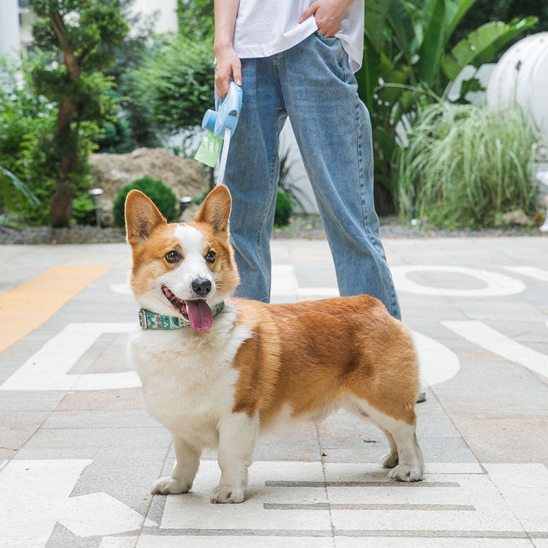 Dog Traction Rope with Light - Retractable for Small & Medium Dogs