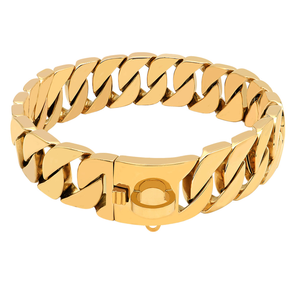 Stainless Steel Cast Dog Collar