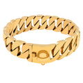 Stainless Steel Cast Dog Collar
