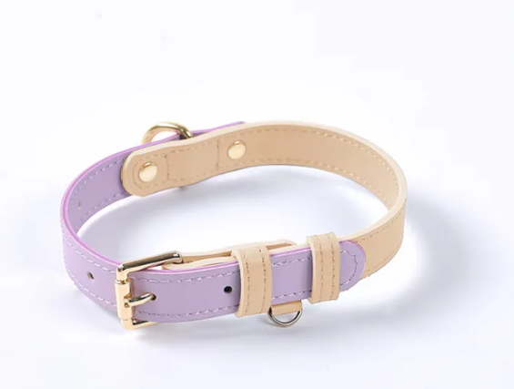 Leather Dog Leash & Collar