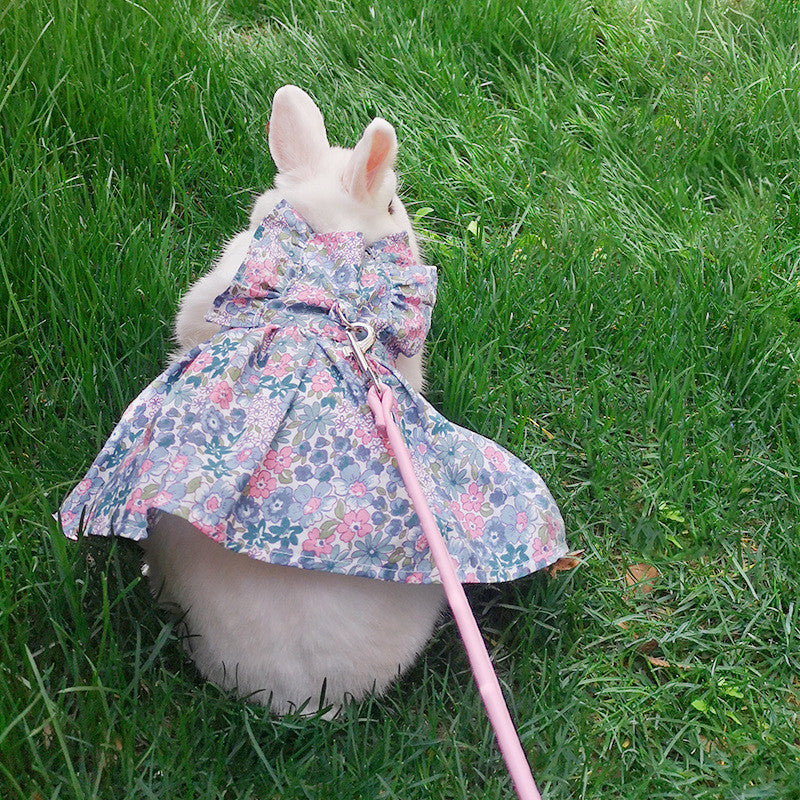 Leash for Bunny, Kitten, Cat, and Lop-Eared Rabbit