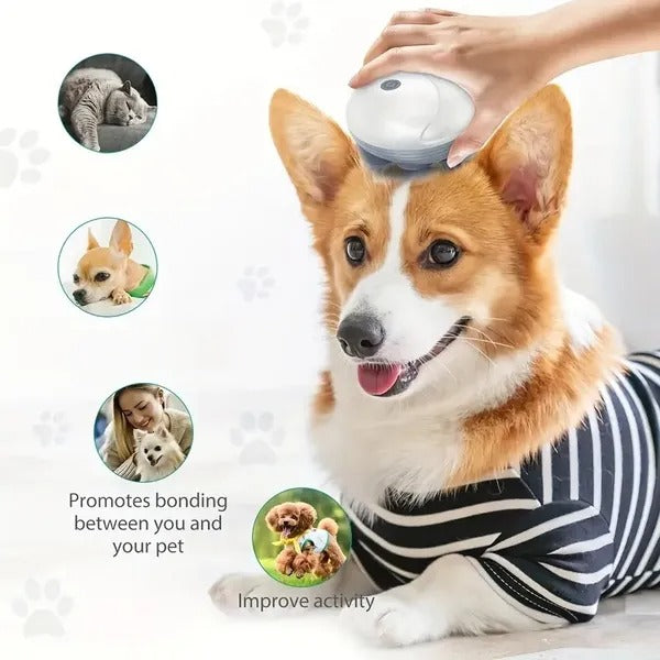 Pet Electric Massager