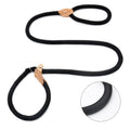 Chain Slip Dog Leash