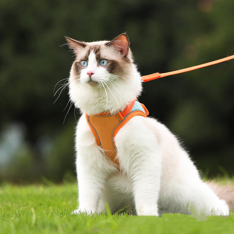 Reflective Cat Harness and Leash for Anti-Escape