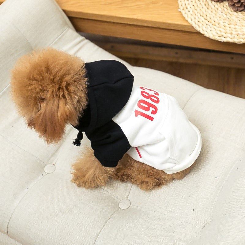 New Fashion Color Matching Dog Clothing Hat