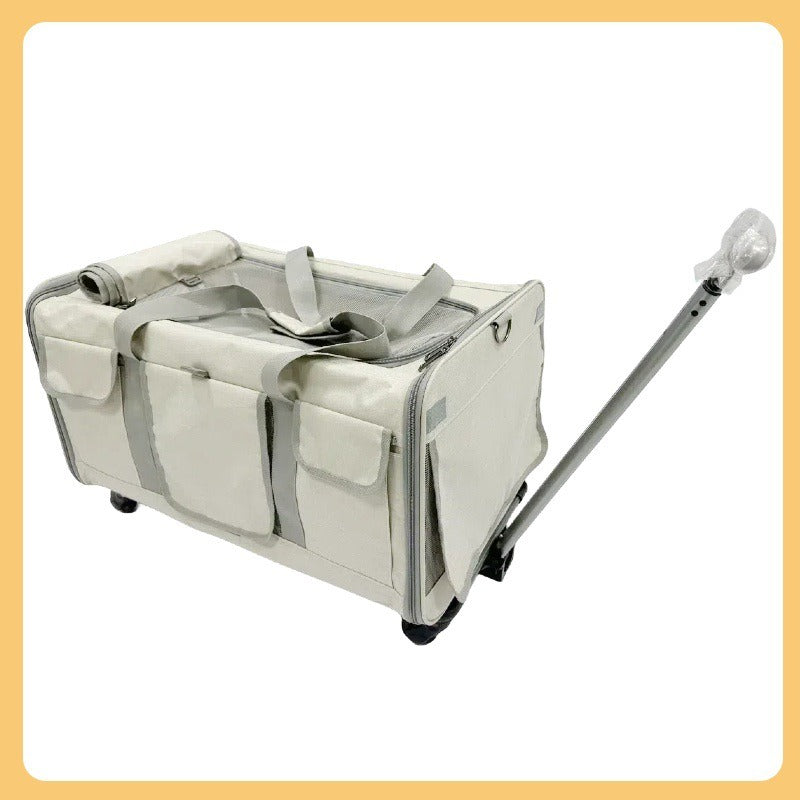 Foldable Cat Pet Bag