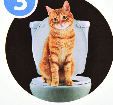 Cat Toilet Training Seat for Litter Box