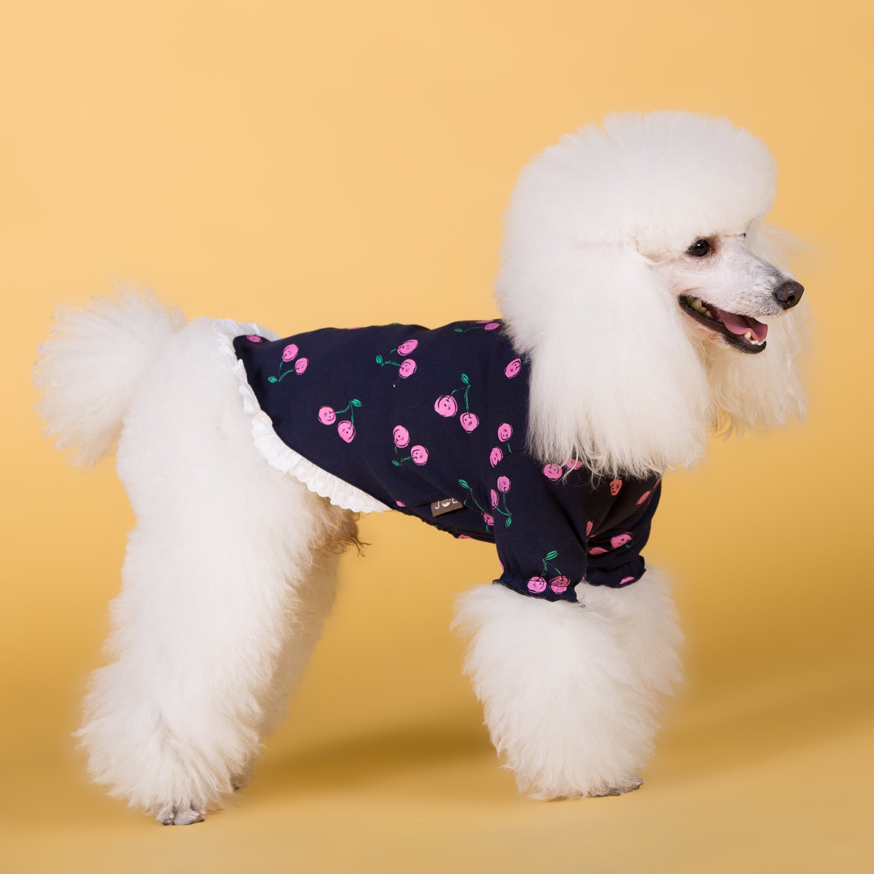 Spring Summer New Dog Cotton Stretch T-Shirt for Pets