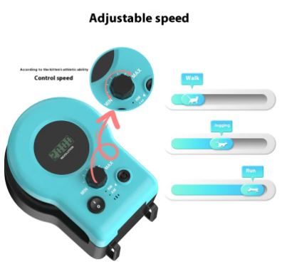 Interactive Cat Fitness Toy