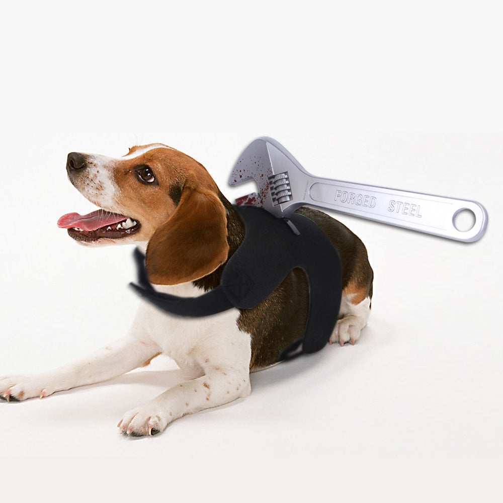 Halloween Fun Ideas for Cats and Dogs