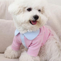 Striped Polo Shirt for Stylish Cats and Dogs
