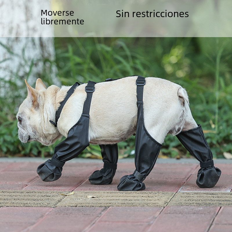 Comfortable Waterproof Dog Shoes for All Seasons