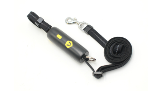 Elastic Nylon Leash for Small and Medium Dogs