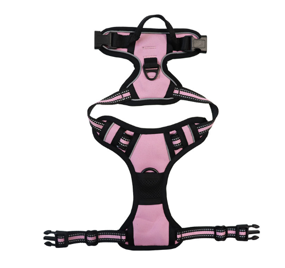 Dog Harness with Leash