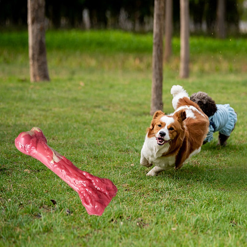 Rubber Bone Dog Chew Toy