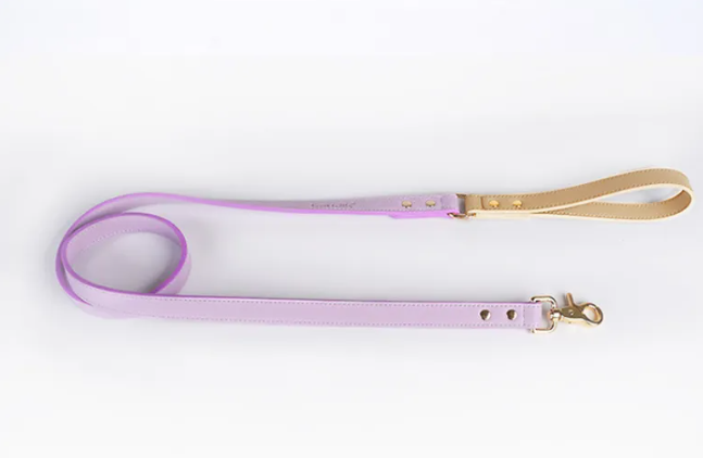 Leather Dog Leash & Collar