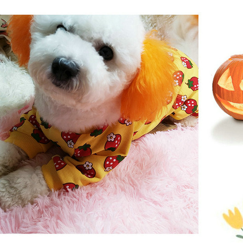 New Strawberry Pet Outfit for Autumn and Winter