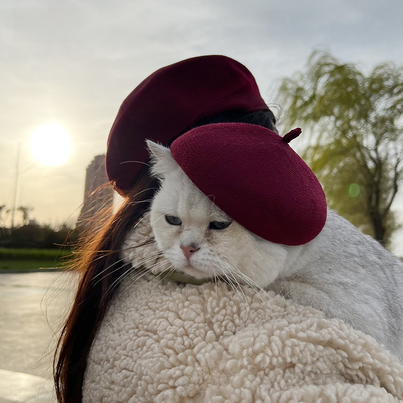 Ins Style Wool Beret for Pets - Dog and Cat Accessory