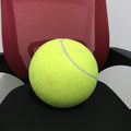 Inflatable Tennis Ball 24cm & 9.5" Pet Chew Toy