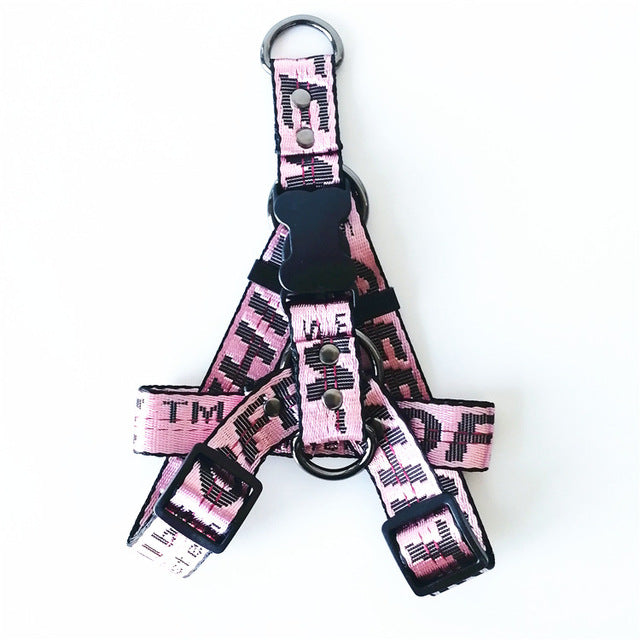 Gold Chain Nylon Dog Collar and Leash Set for Pets