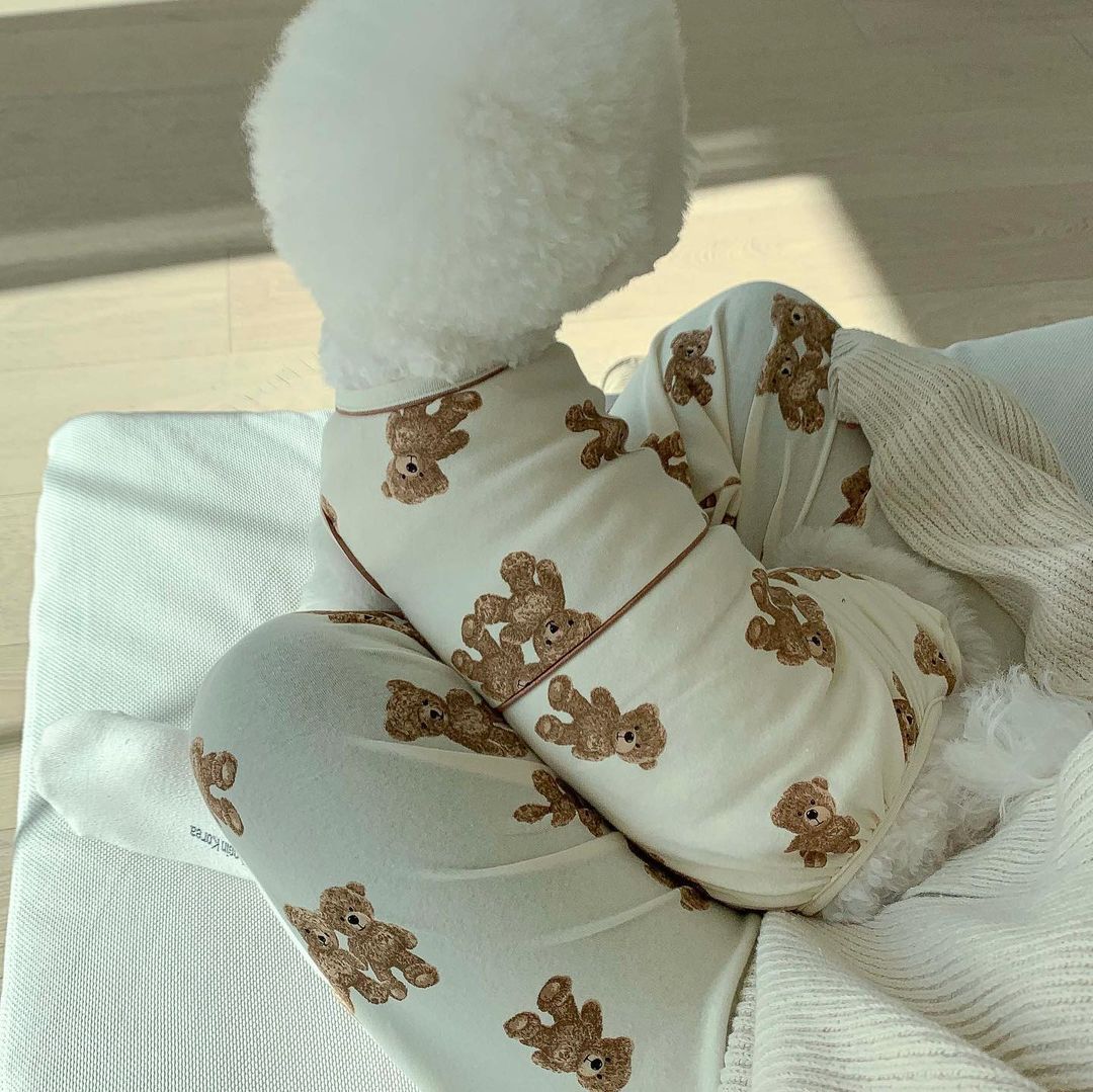 Comfortable Bear One-Piece Dog Homewear Outfit