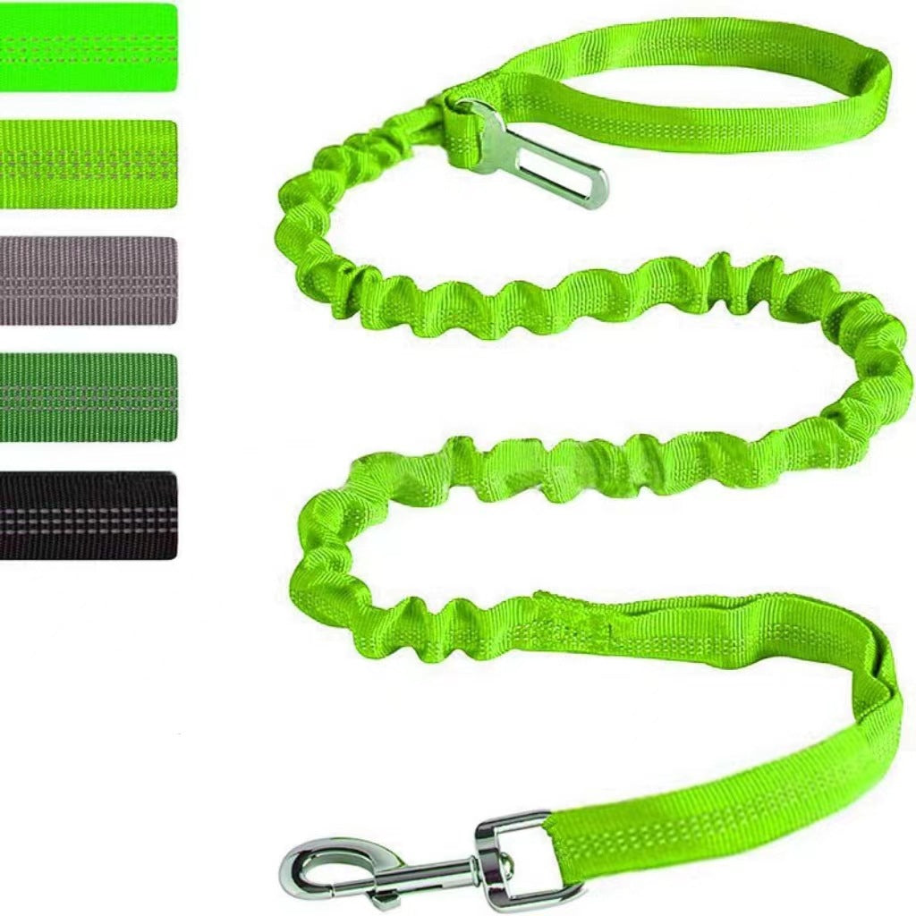 Reflective Polyester Dog Leash