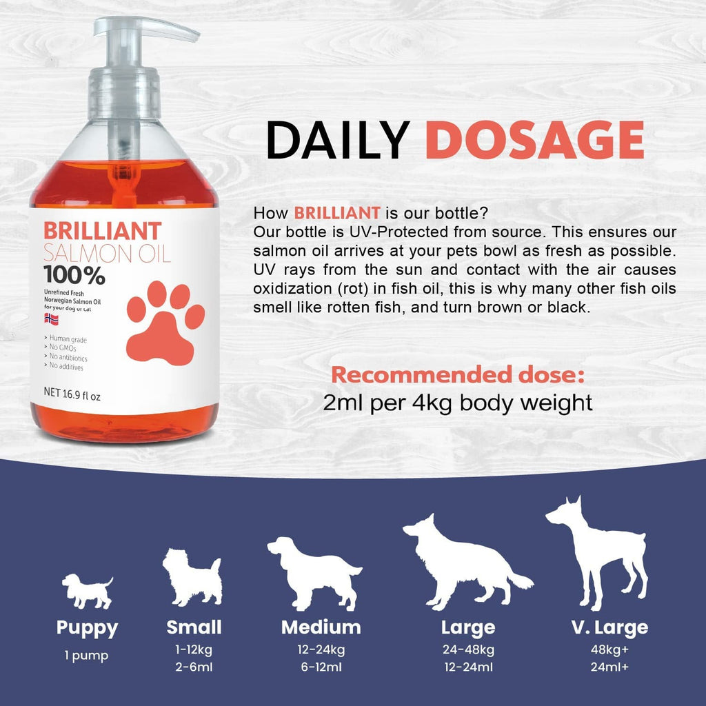 Salmon Oil for Dogs