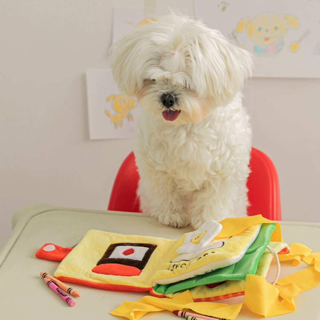 Dog Sniffing Mat and Soft Book Puzzle Toy Set