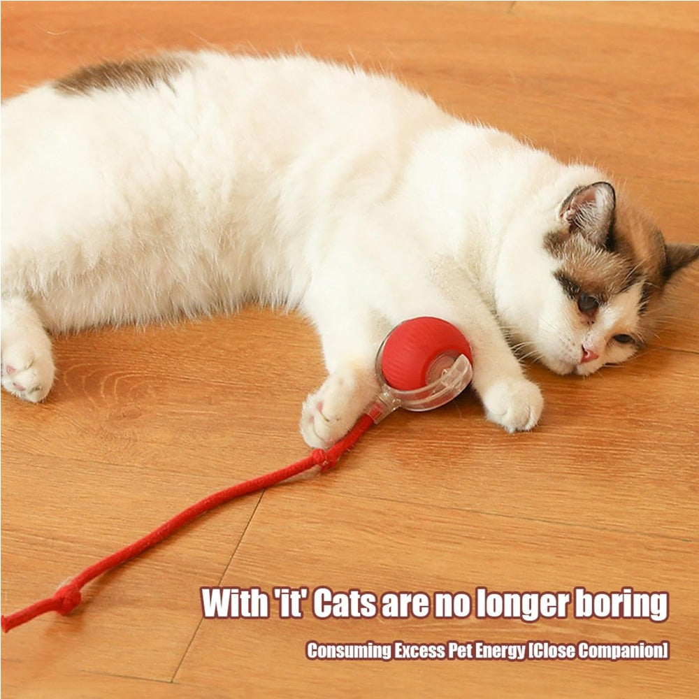 Interactive Rolling Cat Ball Toy
