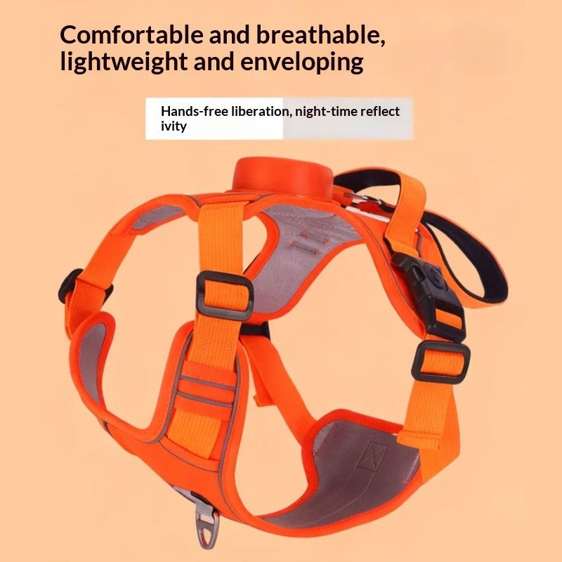 Automatic Retractable Dog Leash & Harness
