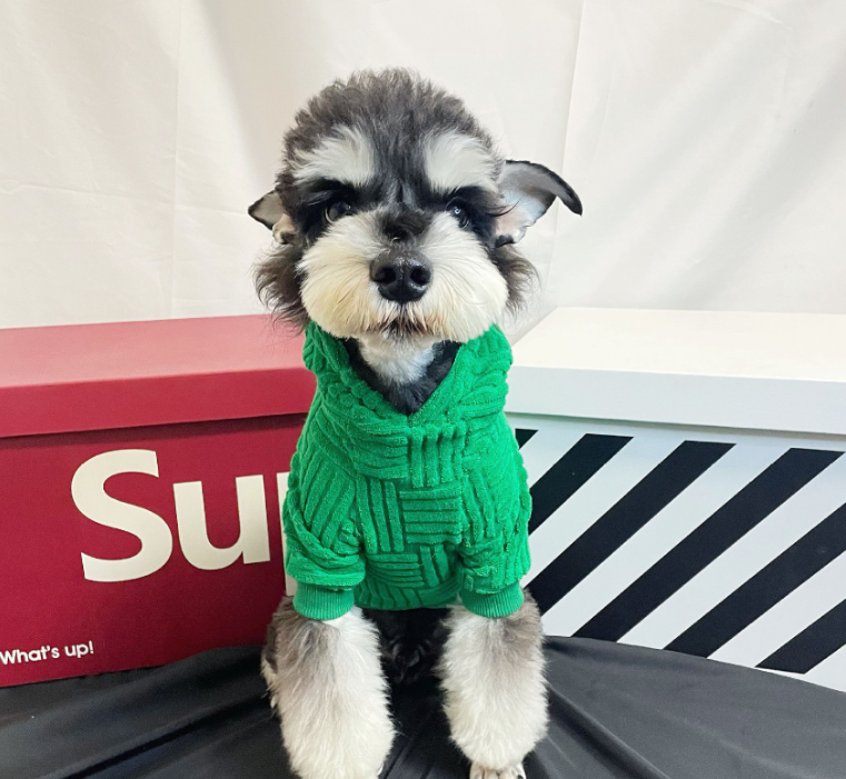 Christmas Terry Cloth Outfit for Dogs