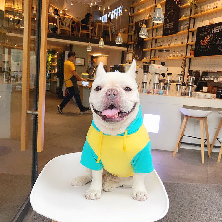 Pet Cotton Spring Autumn Clothes for Dogs
