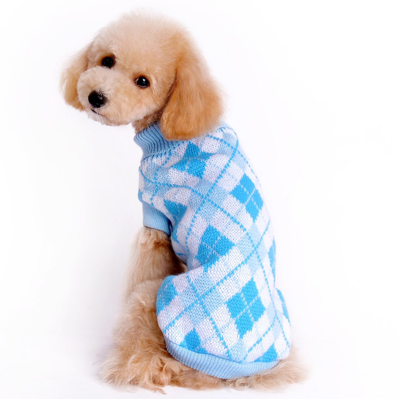 Knitted Fall/Winter Pet Sweater for Dogs (Teddy/Poodle)