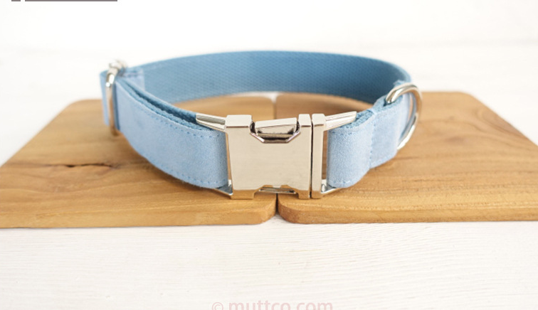 Light Blue Dog Collar and Leash Set